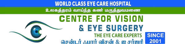 Centre for Vision Logo